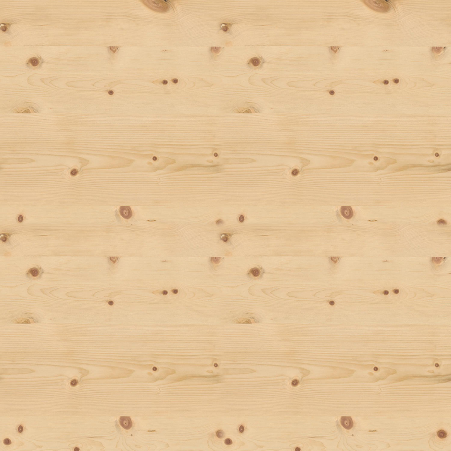 Islandmoos Logos / Schriften - Zirbe - Negativ