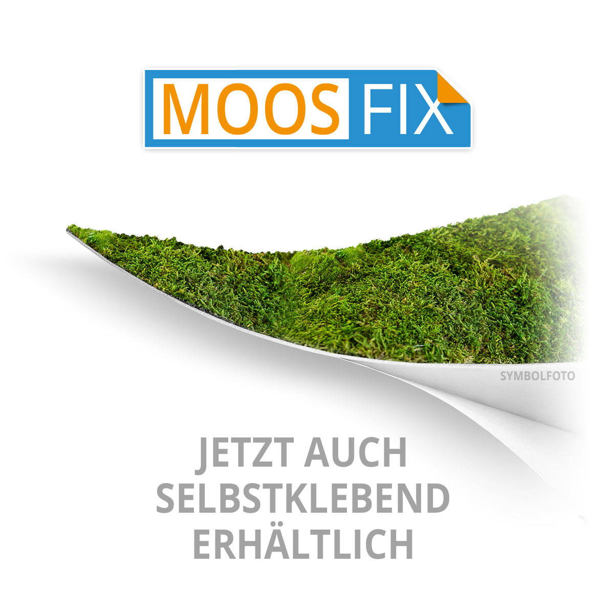 Waldmoos Logos / Schriften - Zirbe - mit Rahmen